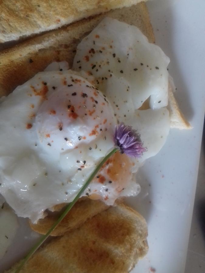 Westhouse Cafe N39 E0A6 Bed & Breakfast Longford Dış mekan fotoğraf